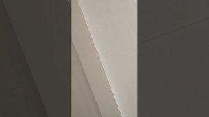 Стрим в школе