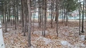 А в Сургуте идёт снег!!!❄️❄️❄️