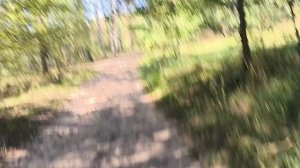 Восьмая пробежка после операции