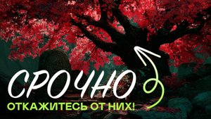 Не Сажай Эти Деревья! Навлечёшь Беду