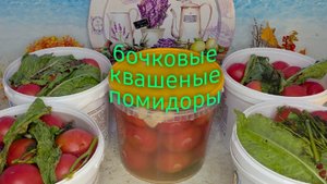 Бочковые квашеные помидоры. Рецепт от бабушки