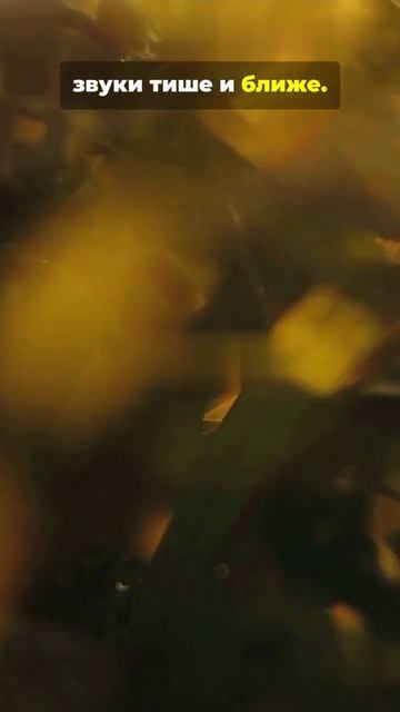 Такова моя осень  золотая задумчивая спокойная...