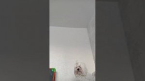 сори продолжаем распоковку