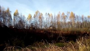 ОХОТА НА УТОК ЭТО ЛОТЕРЕЯ БЕЗ УДАЧИ НЕ КУДА .