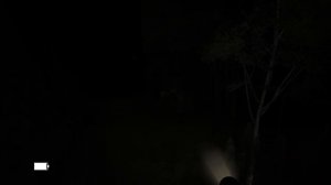 JU-ON THE GRUDGE (2009) [Wii]