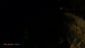 Крым ночной дайвинг Санаторное Меллас крабы, горбыль, ёршики, кефаль, ставрида, анчоус 🍎 #searuss