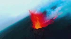 Удивительная природа