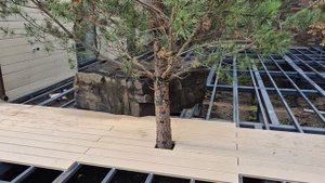 Терраса, навес,  монтаж террасной доски