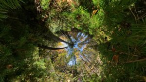 Теплые озера 2025. Insta360.