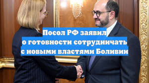 Посол РФ заявил о готовности сотрудничать с новыми властями Боливии