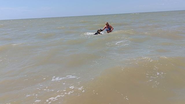 КУПАЕМСЯ С ОВЧАРКОЙ ДЖЕКОМ смотреть онлайн