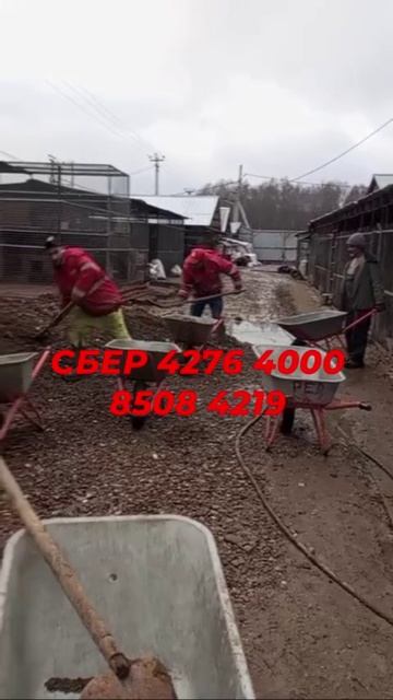 Нам срочно нужен бой! Помогите!