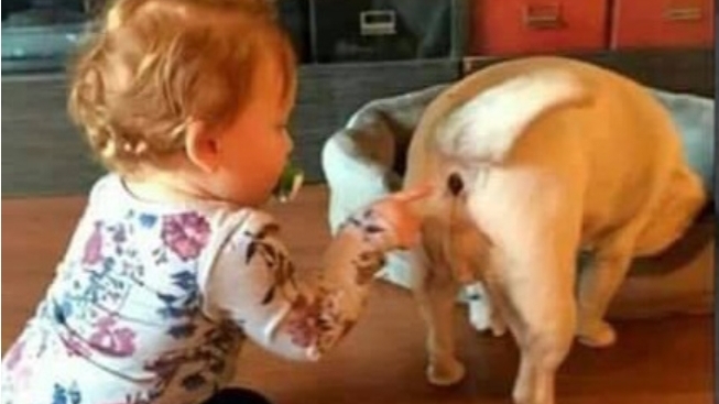 Приколы лучшее 2025