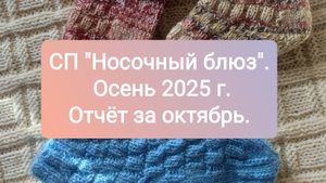 Отчёт для СП "Носочный блюз осени 2025 г.". Октябрь.