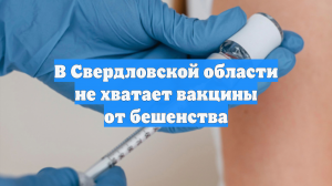 В Свердловской области не хватает вакцины от бешенства