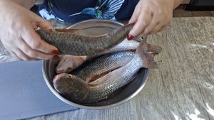 НАИВКУСНЕЙШАЯ МАРИНОВАННАЯ РЫБА-ПЕЛЕНГАС. Так можно готовить толстолобика,щуку, сазана, карася.
