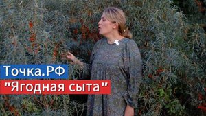 Рецепт приготовления напитков наших предков "Ягодная сыта"