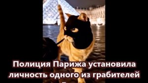 Видеофакт: Полиция Парижа установила личность одного из грабителей Лувра.