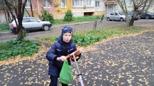 дикустация