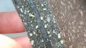 Шумоизоляция потолка ремонт под ключ