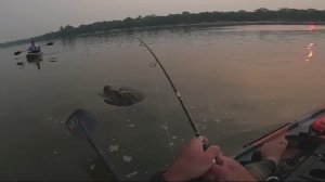 Монстр откусил воблер ... 😱🎣👹