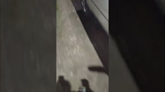 проблемы с АКПП nissan presage U30