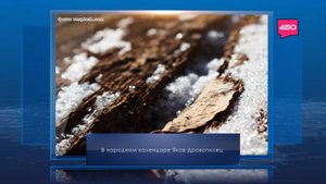 Яков-Дровопилец. Календарь Губернии от 22 октября