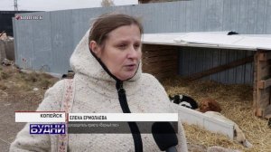 Будни 21 октября