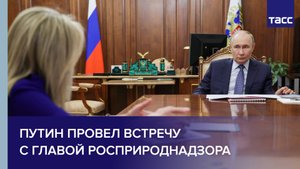 Путин провел встречу с главой Росприроднадзора