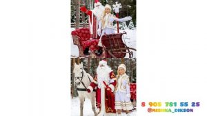 Дед Мороз и Снегурочка 8 905 781 55 25