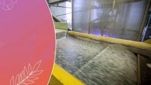 Раздельный сбор отходов_ что и куда сдавать_ _ Урок 2. Средние классы