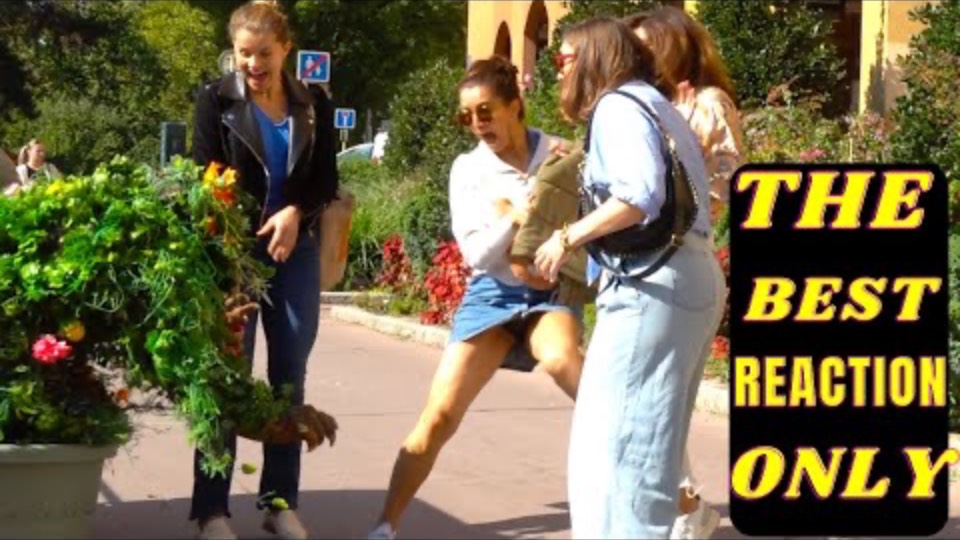 Bushman’s Best Scares_ Hilarious Bushman Scares of All Time!_ смотреть онлайн