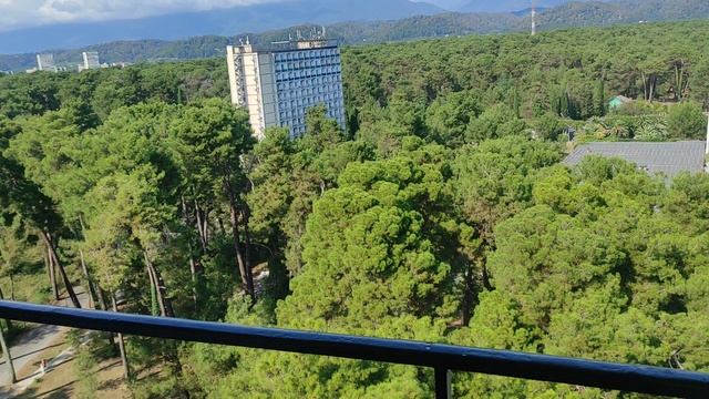 ВИД НА ОКРЕСТНОСТИ ПИЦУНДЫ смотреть онлайн