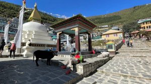 Группа Клуба 7 Вершин «Анахата» поднялась в Намче Базар