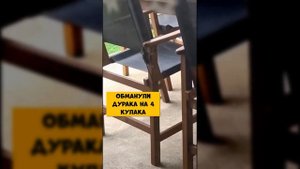 Смешные животные, часть 51