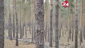 Порядка 250 спортсменов вышли на старт под Димитровградом