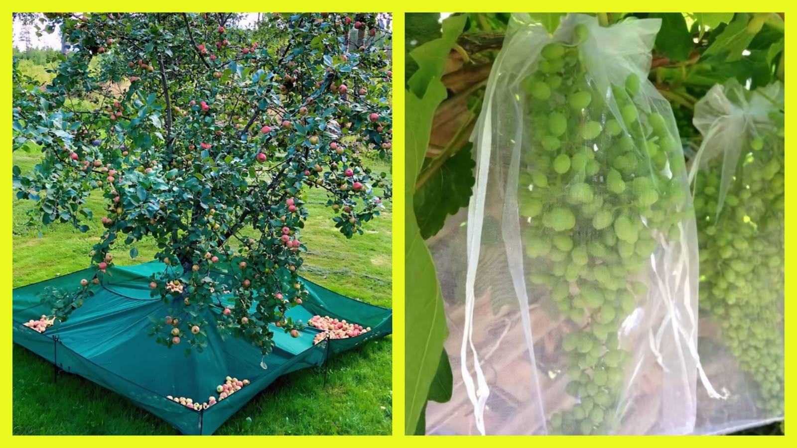 Идеи для огорода: Грядка из ящиков и ведер, сушка, сбор и хранение урожая 🌱