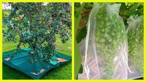 Идеи для огорода: Грядка из ящиков и ведер, сушка, сбор и хранение урожая 🌱