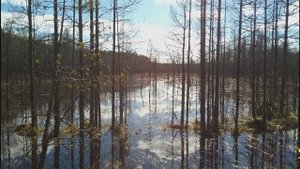 Первомайский коп