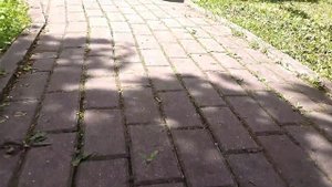 Еще одна красивая дорожка в эколого-просветительского центра "Царская пасека"
