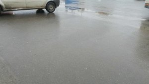 21.10.2025.Усадьба Парк Кино Ляхово. Парк Сибирских Кошек.Визитная карточка. Домодедово.Московская о