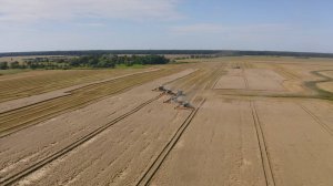 Уборка пшеницы