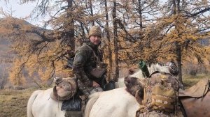 Каширин Дмитрий