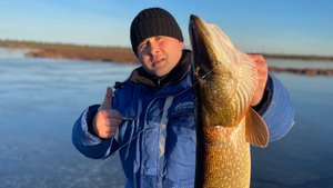 г. Муравленко, сезон подледной рыбалки открыт 🎣 Щука на жерлицы!