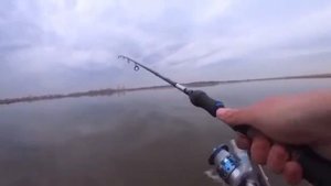 Видео от За Трофеем: Охота и Рыбалка
