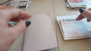 Обзор новинок, семена. 21.10.2025г.