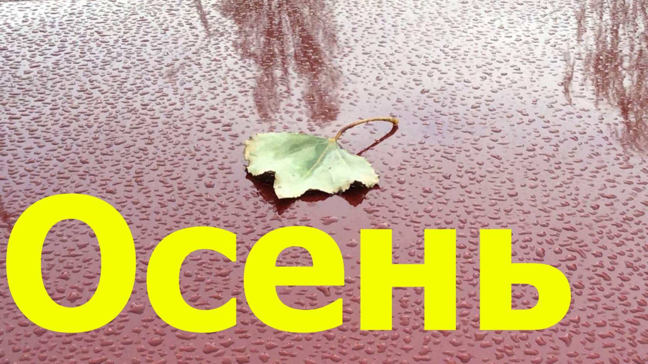 Осень Ставрополь