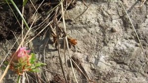 Сплав по реке Нейва. Мелкозёрово - Алапаевск. Август 2025 года. Часть 2