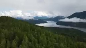Сила момента. Здесь и сейчас.