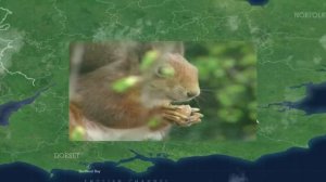 The Best Beaches for British Nature